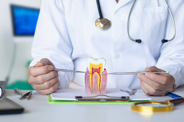 Best Emergency Wisdom Tooth Extraction in Rawls Springs, MS